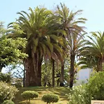 Marachique Vl *