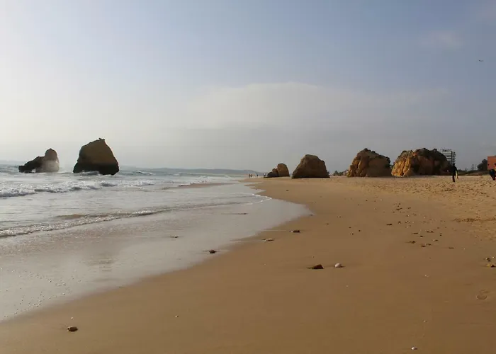 Marachique Vl * Alvor